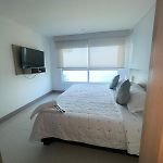 apartamentos frente al mar palmettos beach eliptic uno